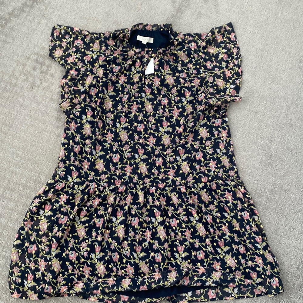 Loft  dress